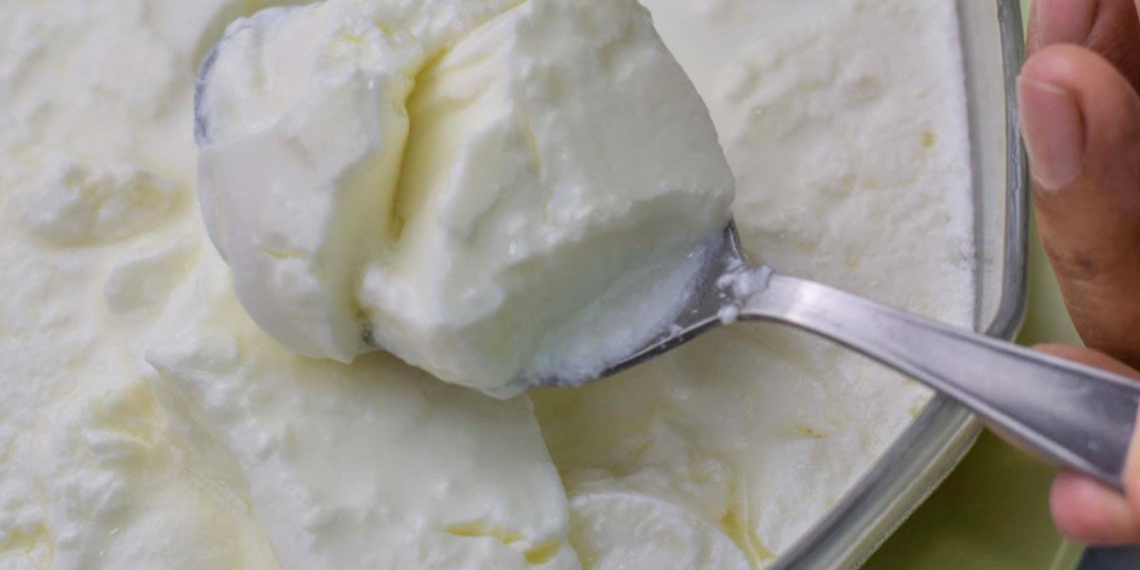 how to make yogurt with whole milk flour cream soft and smooth 14547