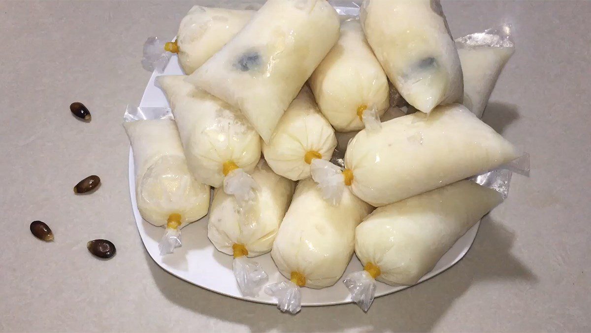 Soursop ice cream (Annona muricata)