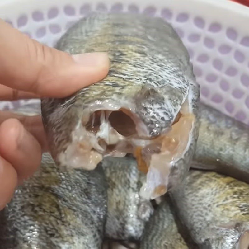 Step 3 Drying fish Dried snakehead fish (wild snakehead fish)