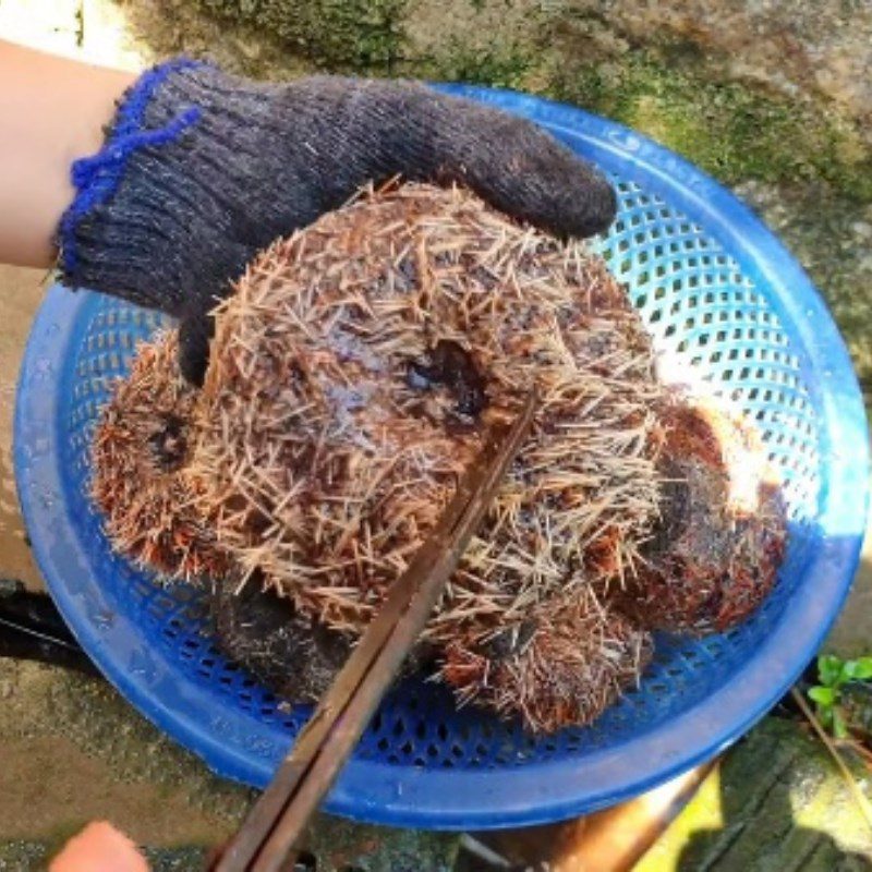 Step 1 Prepare the sea urchin Grilled sea urchin (cầu gai) with scallion oil