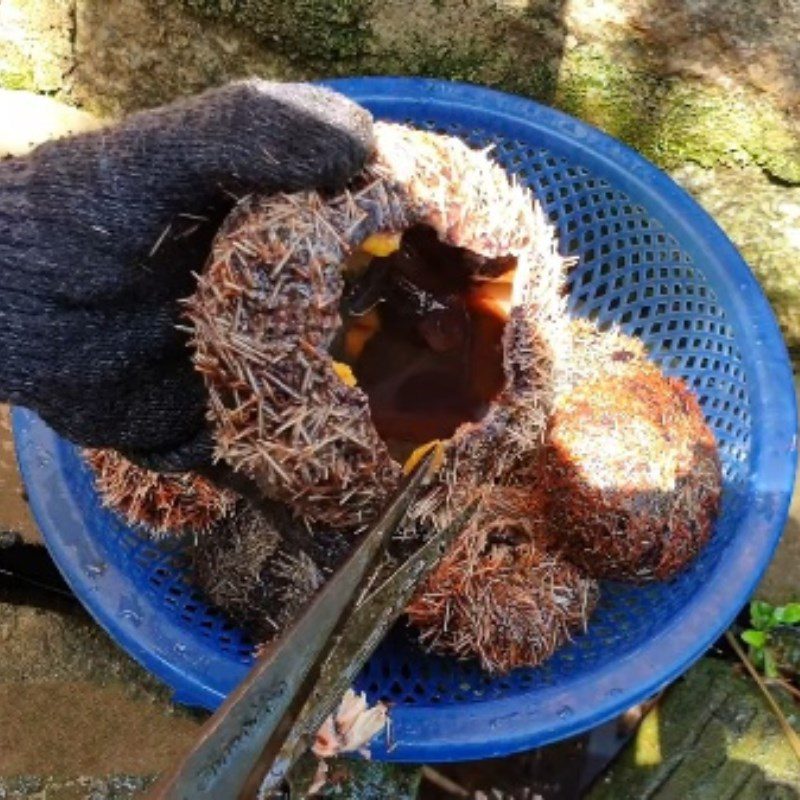 Step 1 Prepare the sea urchin Grilled sea urchin (cầu gai) with scallion oil