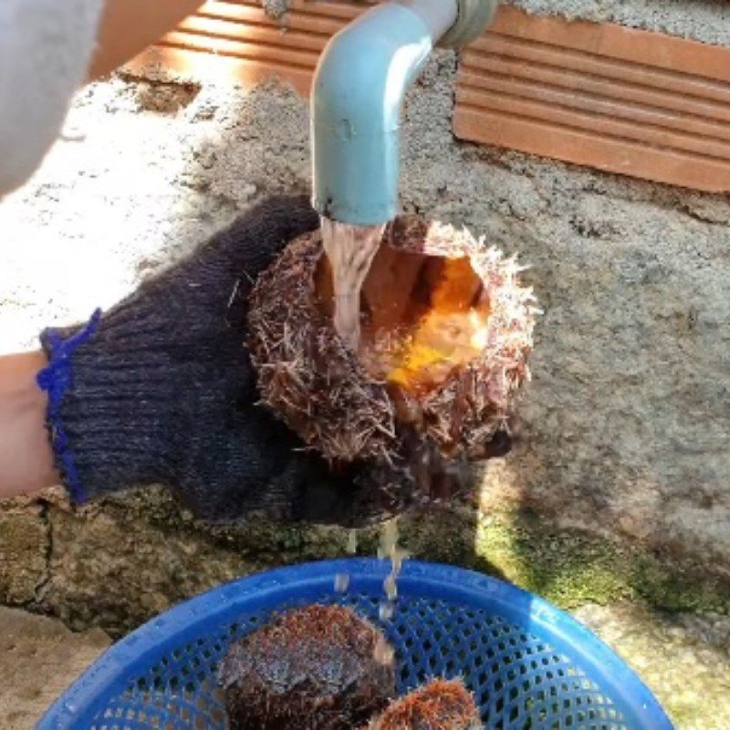 Step 1 Prepare the sea urchin Grilled sea urchin (cầu gai) with scallion oil