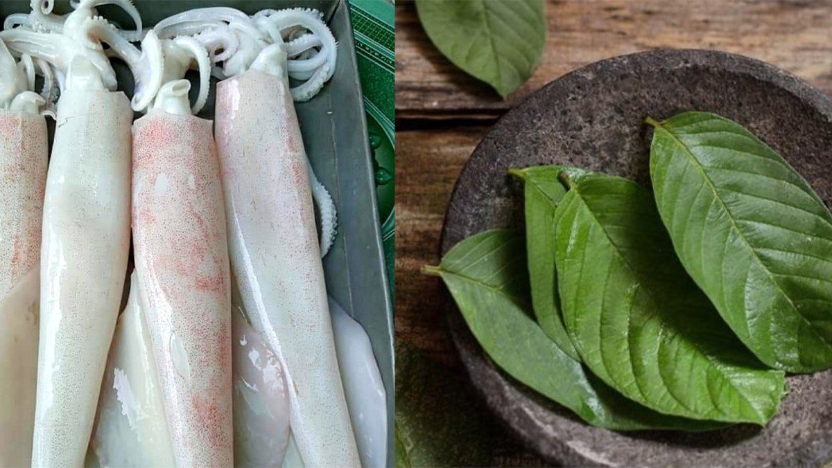 Ingredients for the dish steamed squid with beer, ginger and lemongrass, guava leaves