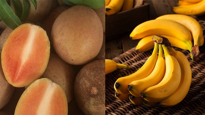 Ingredients for 5 ways to make sapodilla smoothie