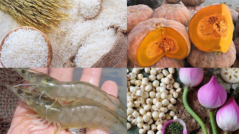 Ingredients for pumpkin shrimp porridge