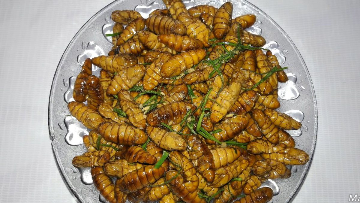5 Delicious and Easy Ways to Stir-Fry Mealworms at Home 13 Stir-fried larvae with lime leaves