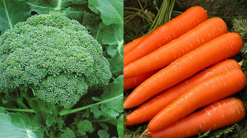 Ingredients for stir-fried broccoli (cauliflower) with carrots