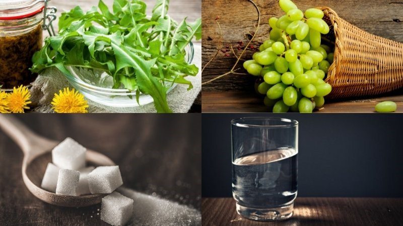 Ingredients for dandelion juice