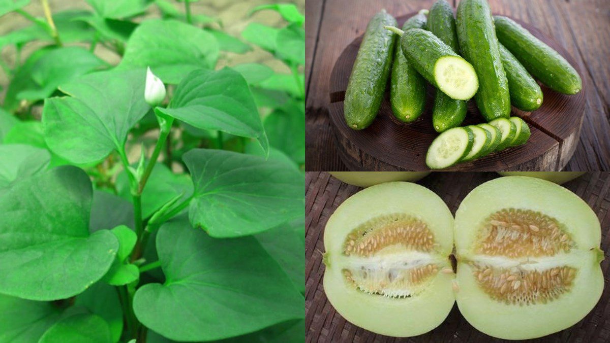 Ingredients for the dish of fish mint juice