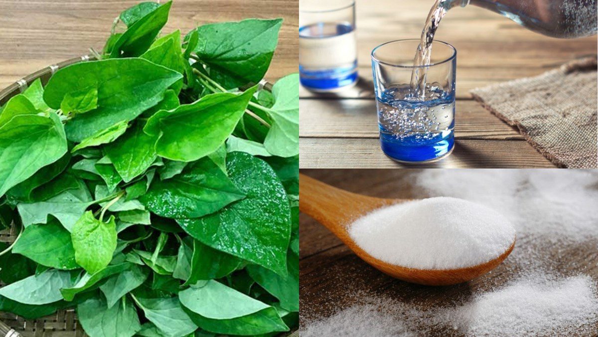 Ingredients for Vietnamese Coriander Juice