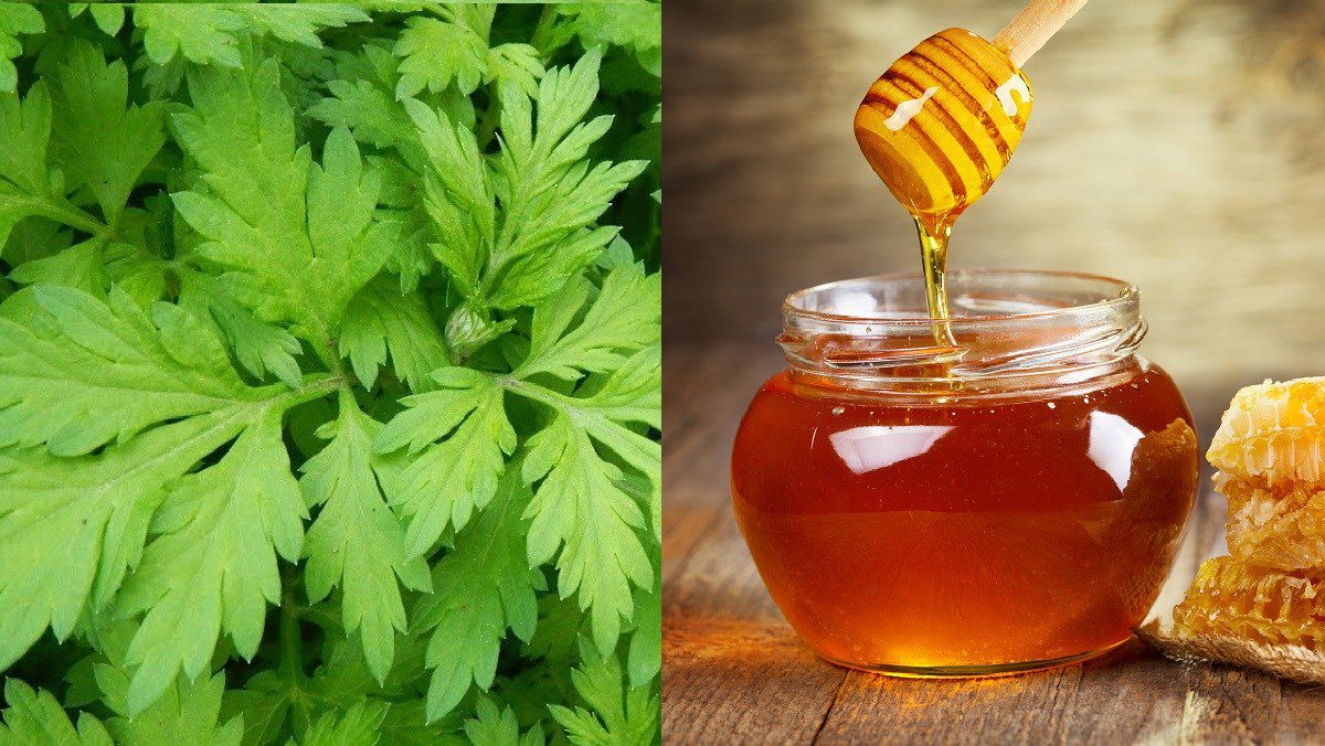 Ingredients for wormwood juice