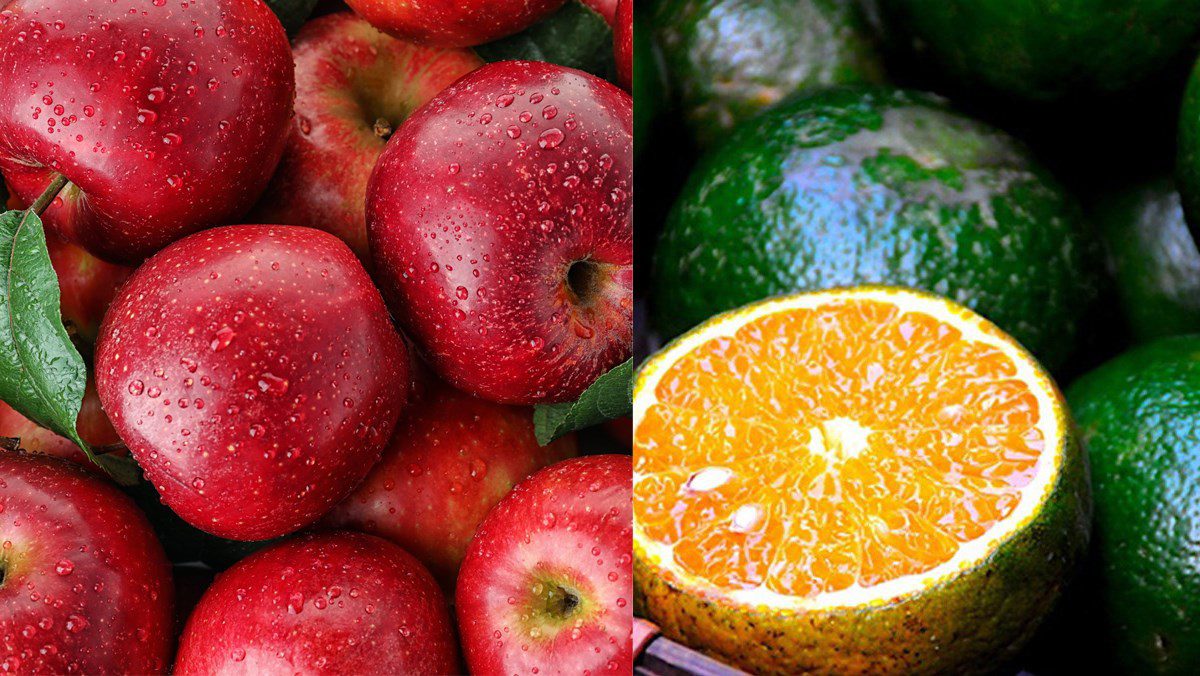 Ingredients for apple juice using a blender