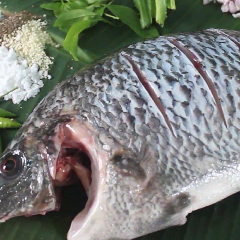 Step 1 Prepare the Tilapia Grilled Tilapia in Foil