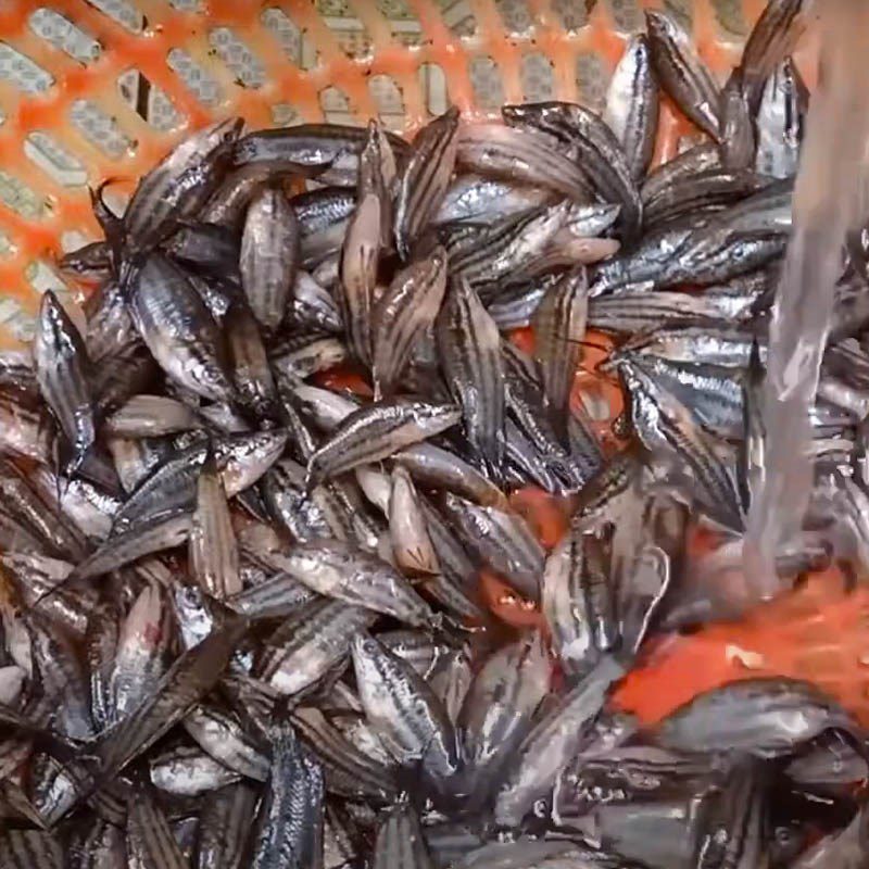 Step 1 Prepare the fish for fish sauce