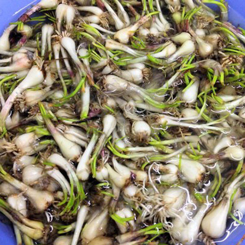 Step 2 Prepare other ingredients for stir-fried pickled onion