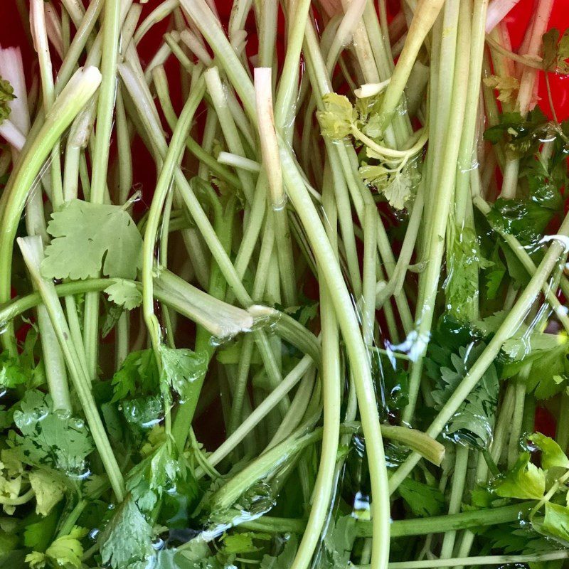 Step 1 Prepare the celery Beetroot Celery Juice