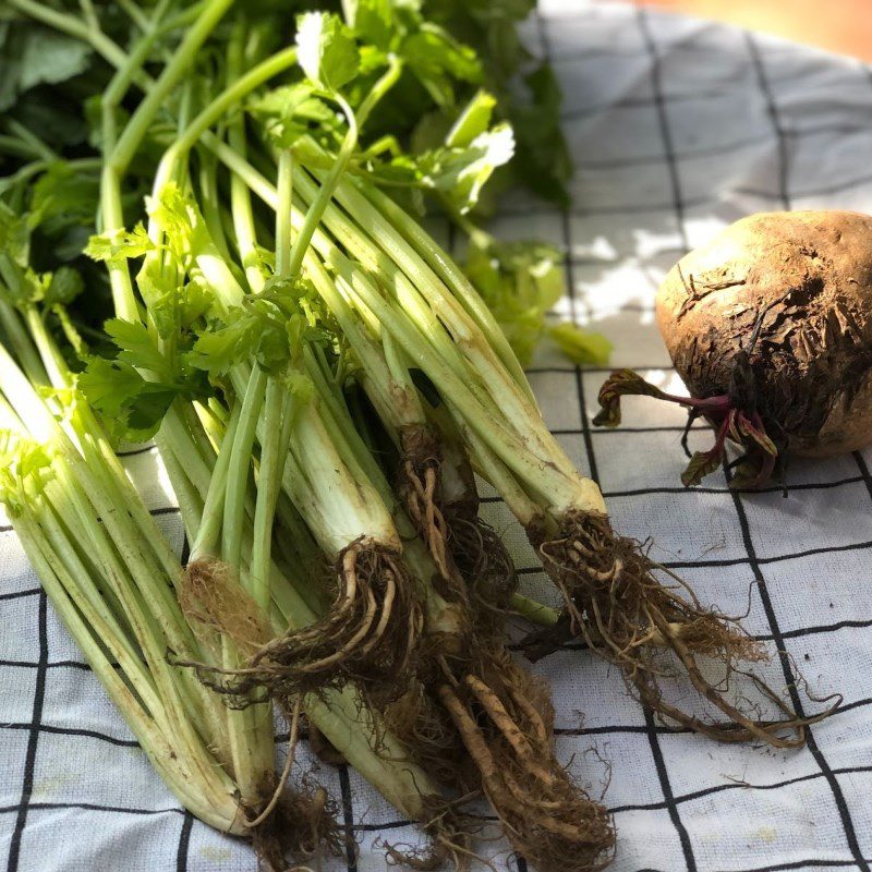 Step 1 Prepare the celery Beetroot Celery Juice