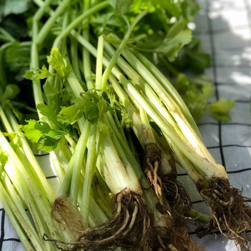 Step 1 Prepare the celery for Celery and Watermelon Juice