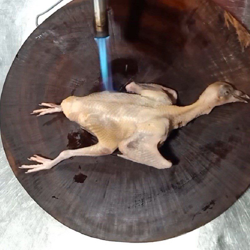 Step 1 Prepare the pigeon Stir-Fried Pigeon with Vermicelli
