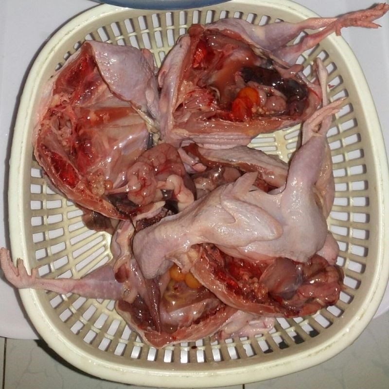 Step 1 Prepare the quail Quail Porridge