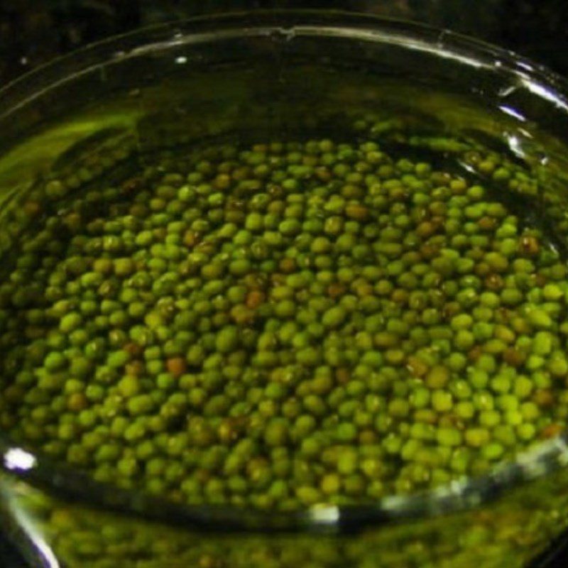 Step 1 Prepare the mung beans Mung Bean Coconut Milk Ice Cream