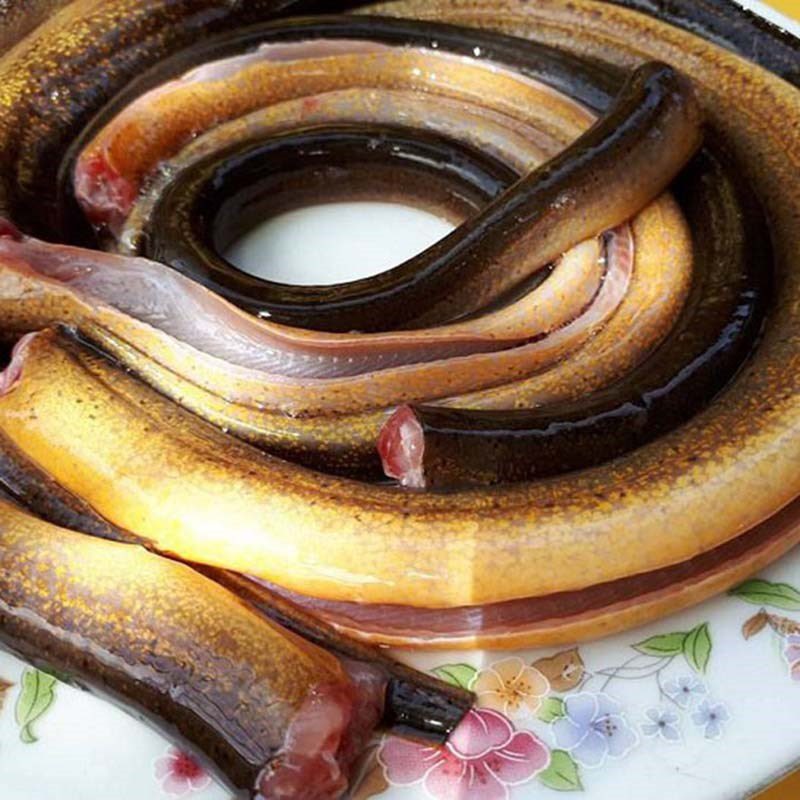 Step 1 Prepare eel Green bean eel porridge