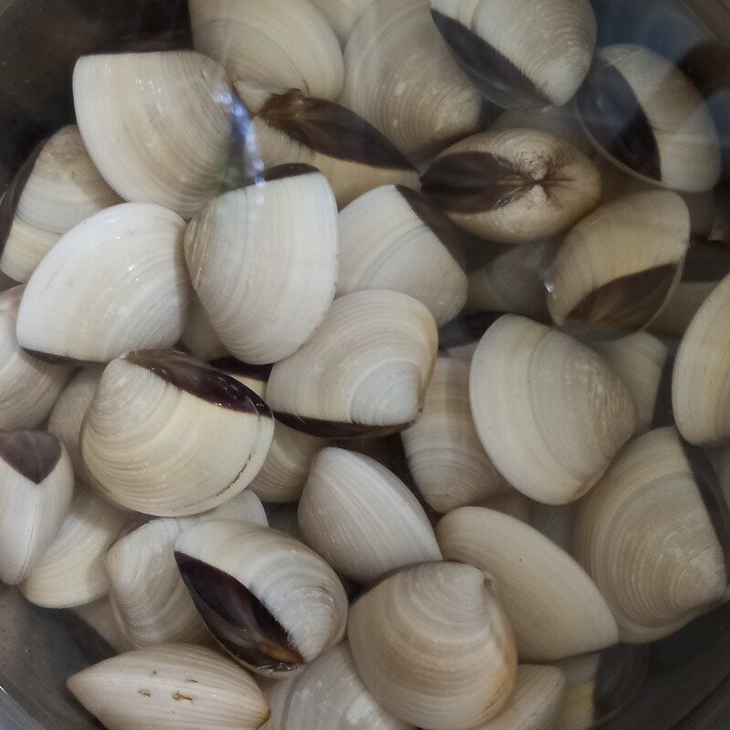 Step 1 Prepare the clams Ginger steamed clams