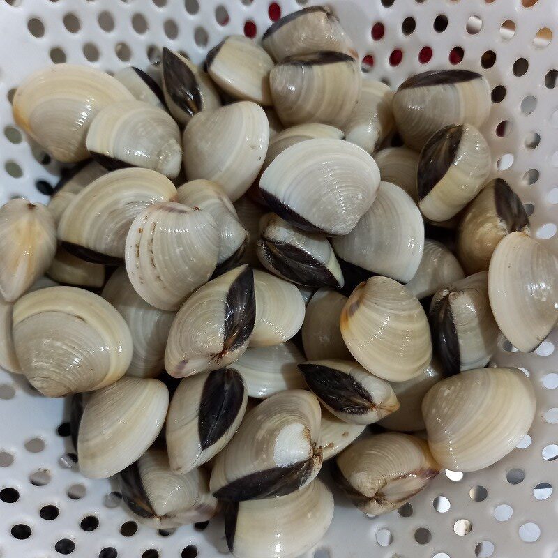 Step 1 Prepare the clams Ginger steamed clams