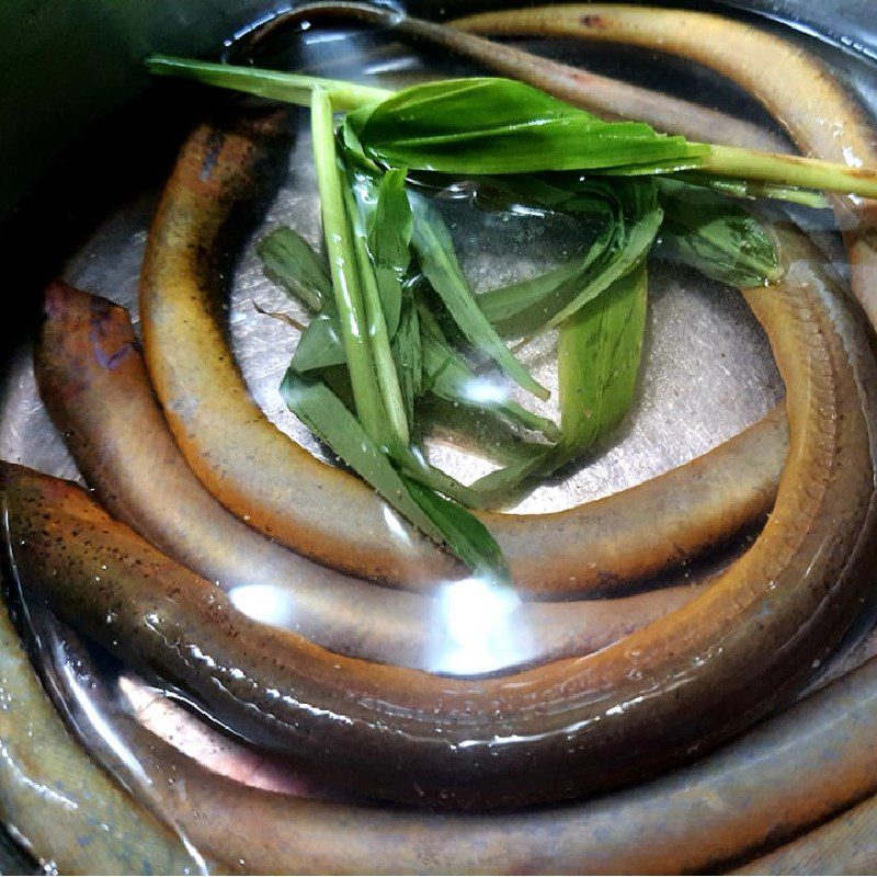Step 1 Prepare Ingredients for Nghe An Eel Porridge
