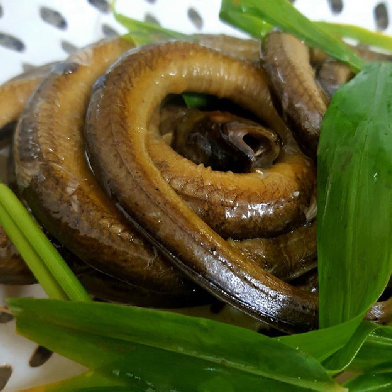 Step 1 Prepare Ingredients for Nghe An Eel Porridge