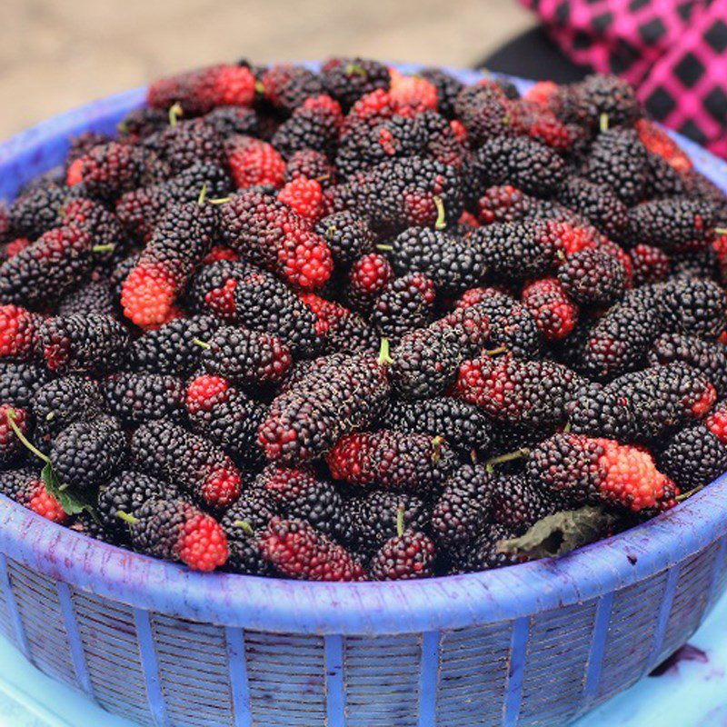 Step 1 Prepare the ingredients for Mulberry Smoothie
