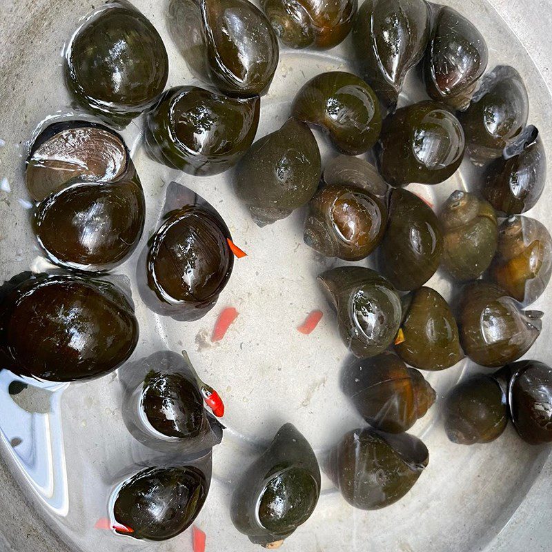 Step 1 Prepare Ingredients for Steamed Snail Cake