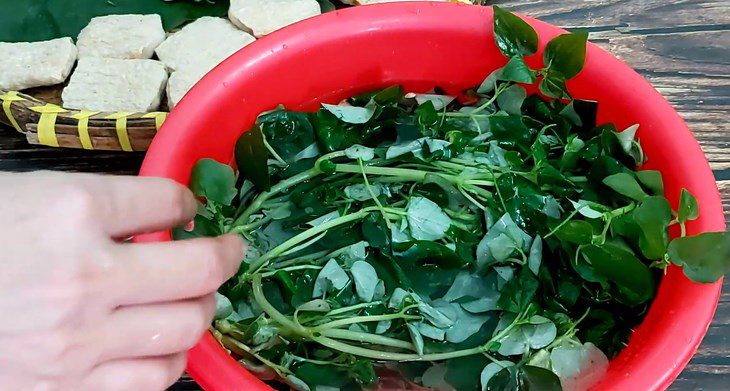 Step 1 Prepare the ingredients for Vegetarian Water Lily Salad