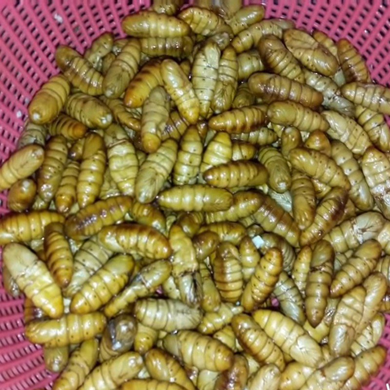 Step 1 Prepare the pupae Stir-fried Pupae with Lime Leaves