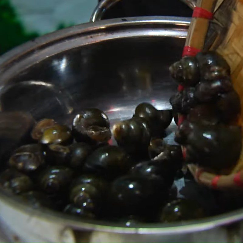 Step 1 Prepare and Boil the Snails Steamed Snail Sausage in Bamboo Tubes