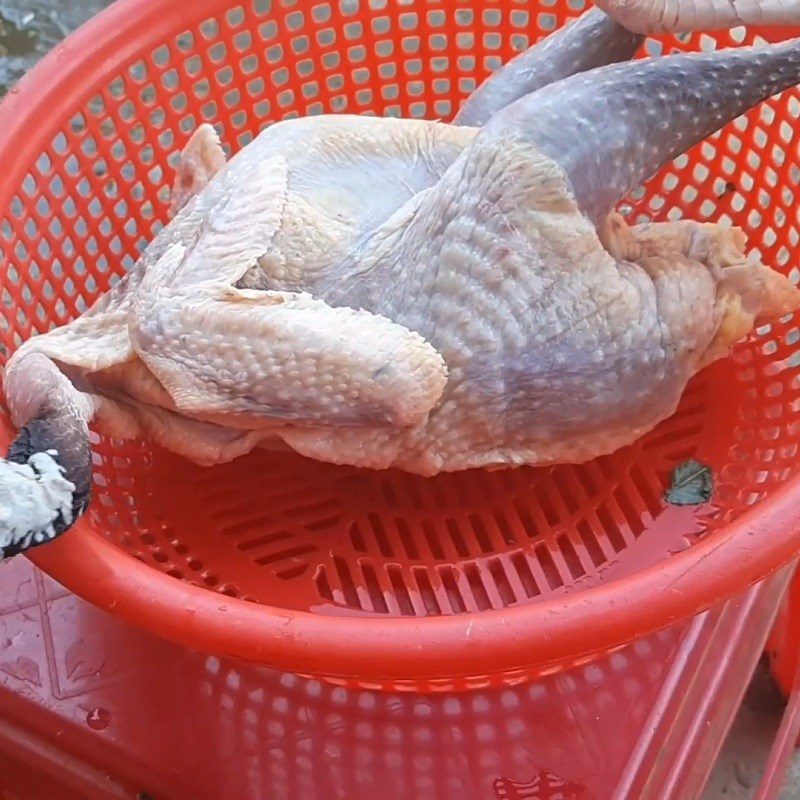 Step 1 Prepare and boil the chicken for Chicken Salad with Dinah Lang