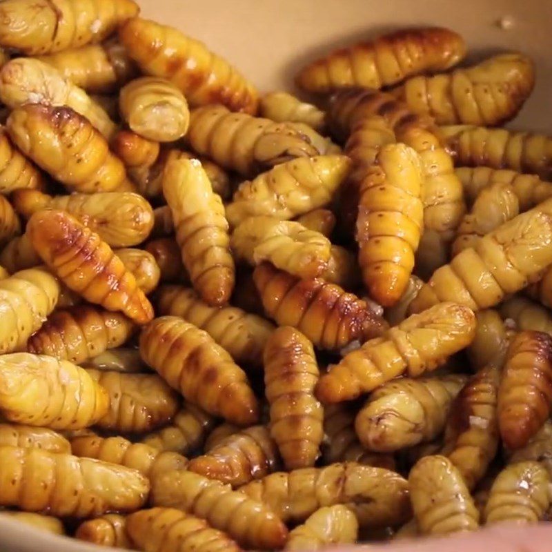 Step 1 Prepare and marinate the pupae Stir-fried Bamboo Shoot with Pupae