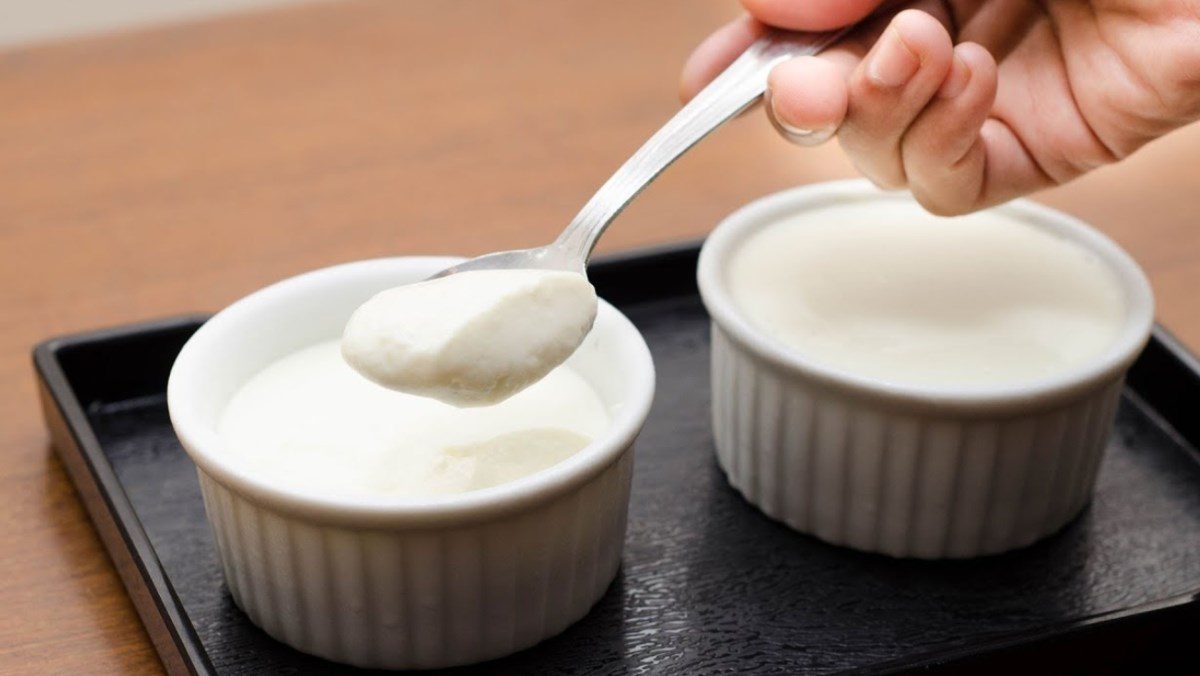 Yogurt made from powdered milk without yogurt starter