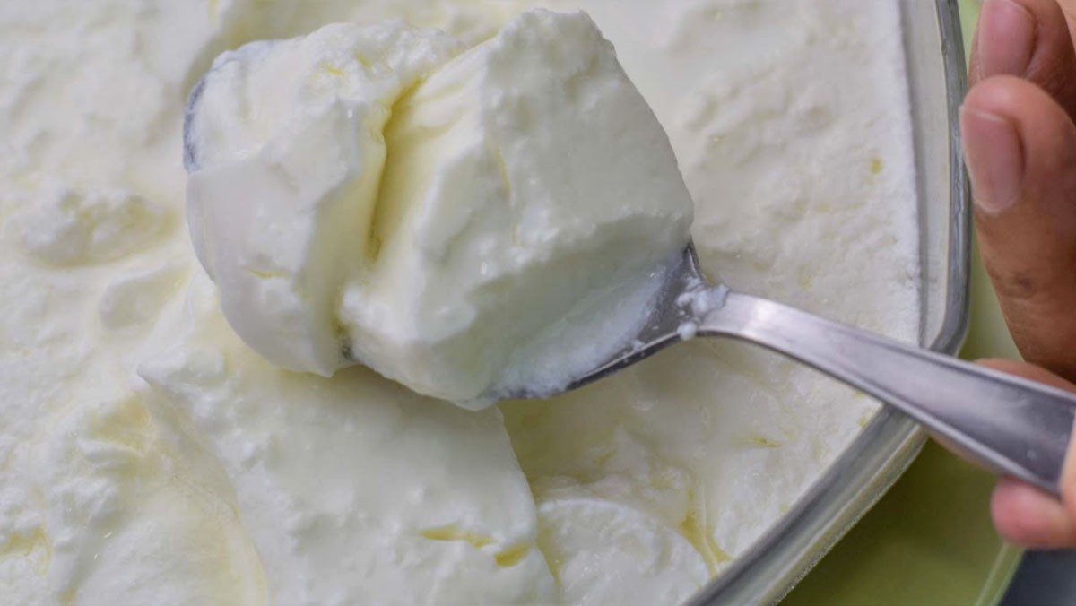Yogurt made from milk powder