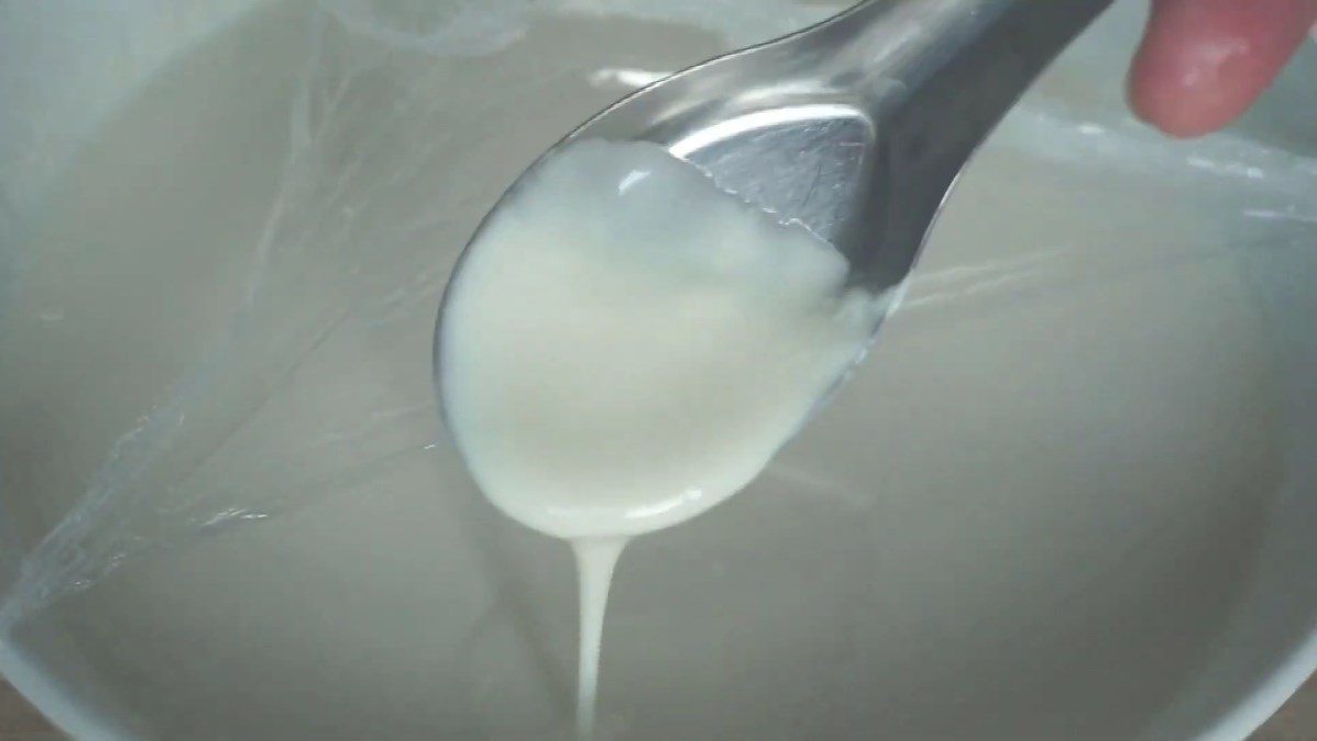 Yogurt with Condensed Milk and Powdered Milk
