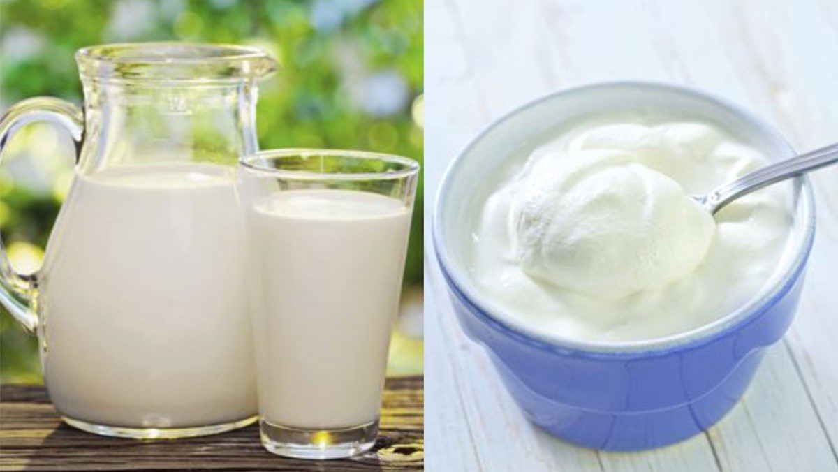 Ingredients for yogurt made with an electric pressure cooker