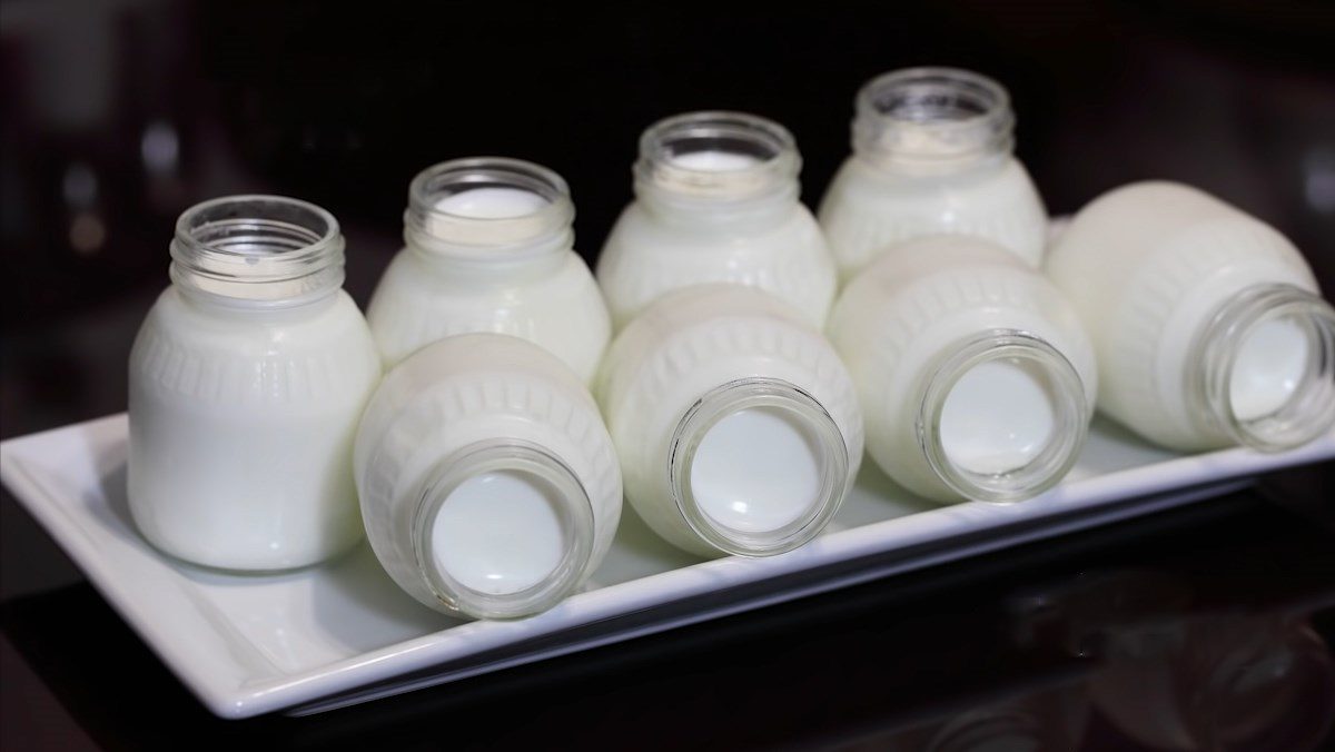 Greek yogurt with electric pressure cooker