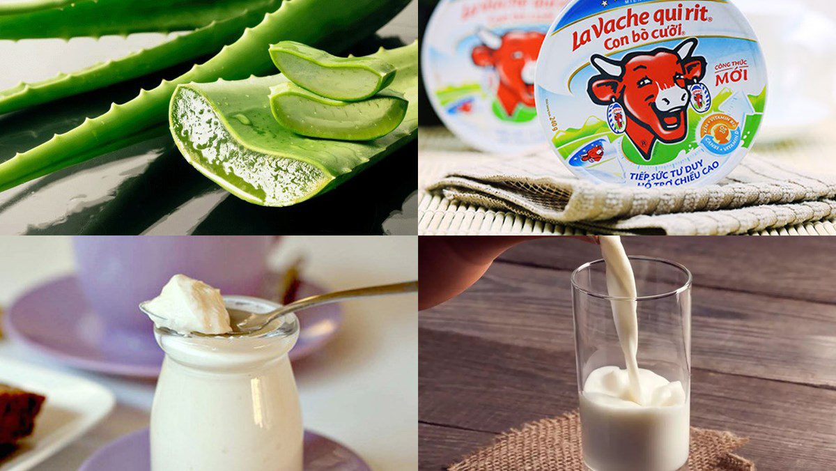 Ingredients for yogurt cheese dish, yogurt cheese with aloe vera