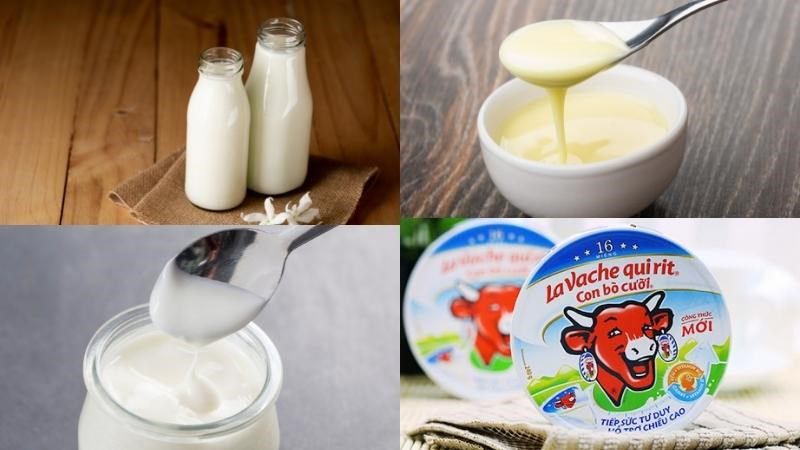 Ingredients for cheese yogurt, cheese yogurt with aloe vera