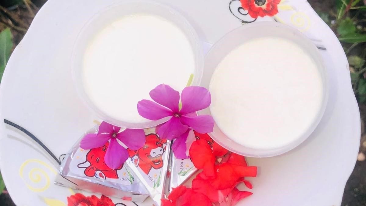 Cheese Yogurt