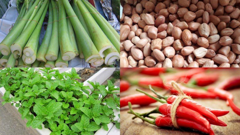 Ingredients for the dish of water morning glory salad