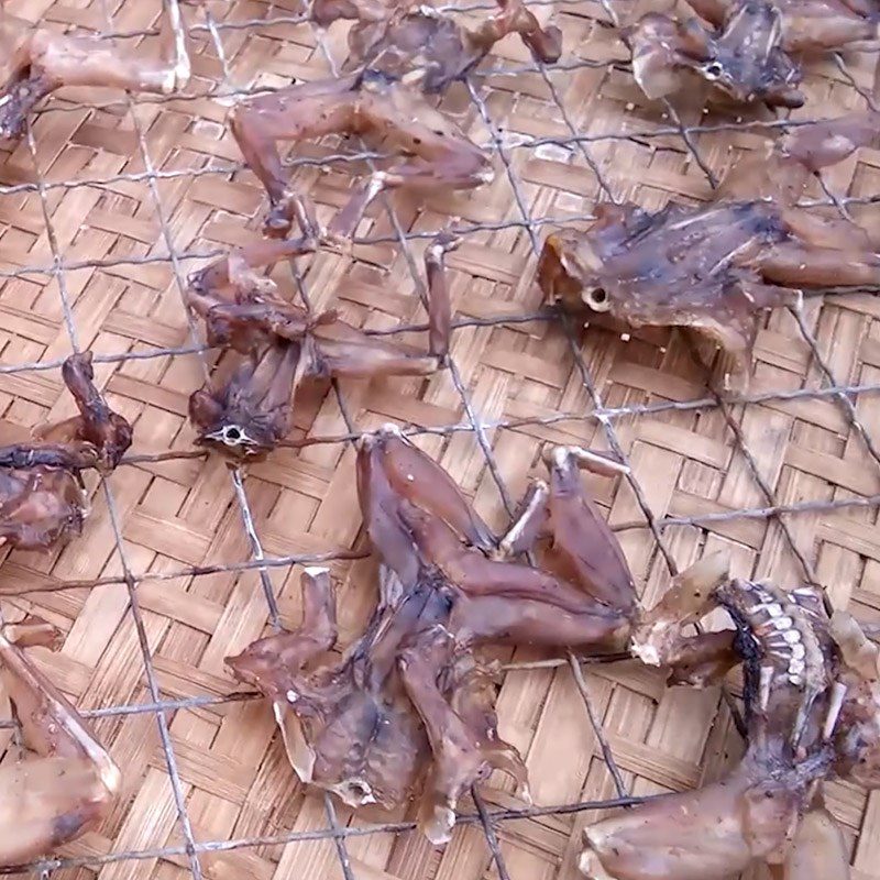 Step 4 Final Product Dried Frog