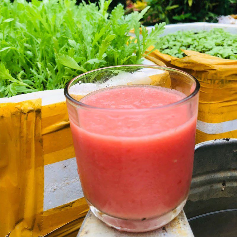 Step 3 Final Product Tomato Carrot Smoothie