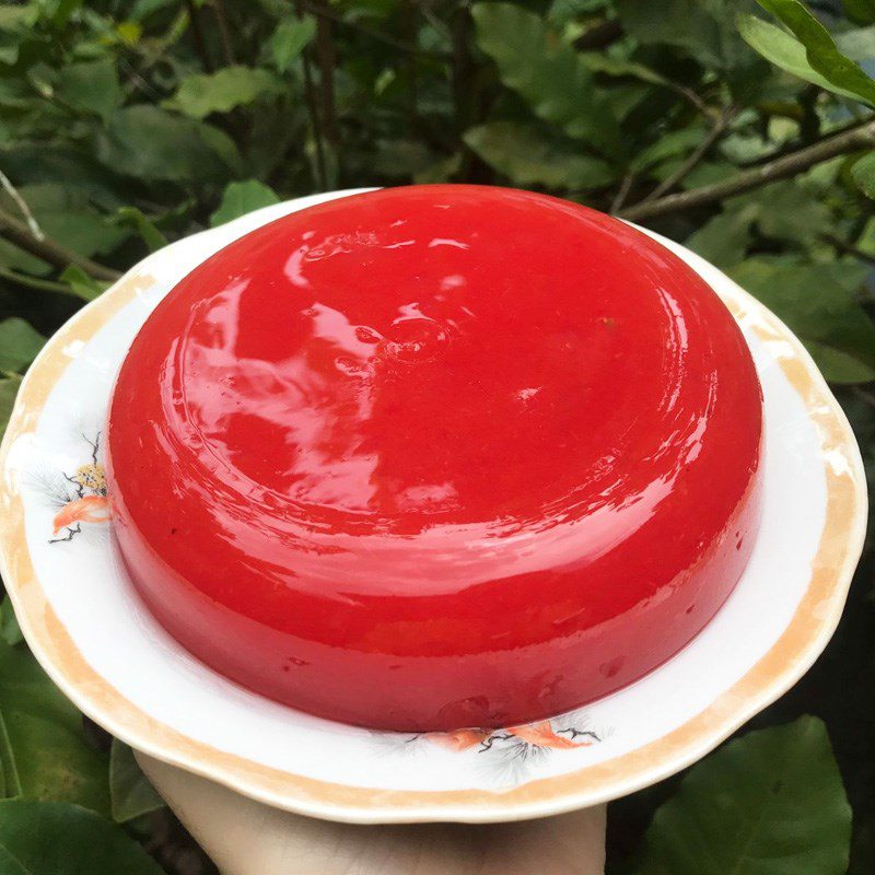 Step 3 Final Product Watermelon Jelly (recipe shared by users)