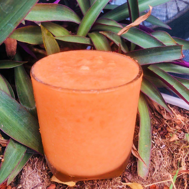 Step 3 Final product Apple carrot smoothie
